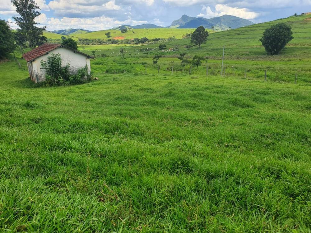 Chácara à venda com 3 quartos, 2300000m² - Foto 4