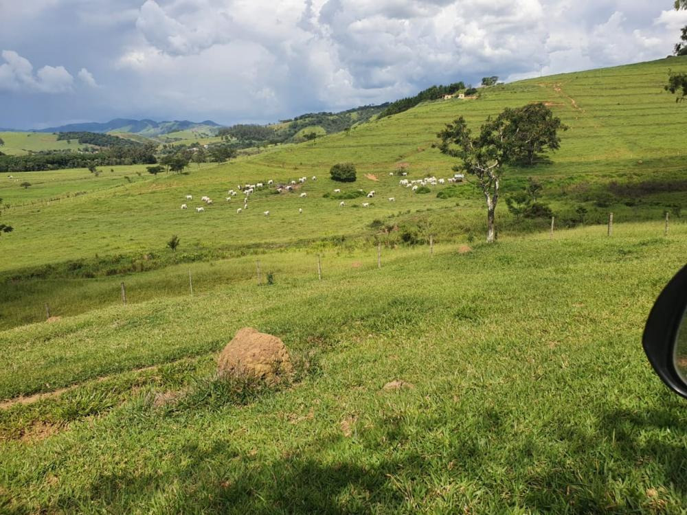 Chácara à venda com 3 quartos, 2300000m² - Foto 7