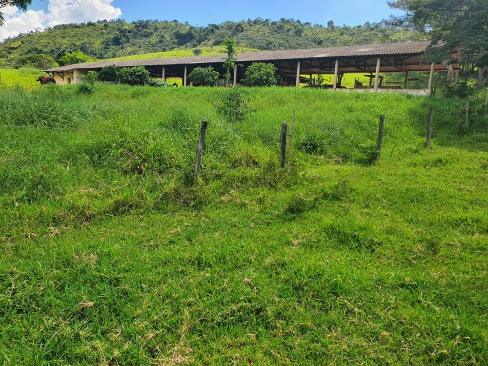 Chácara à venda com 3 quartos, 2300000m² - Foto 11