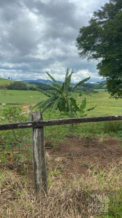 Chácara à venda com 3 quartos, 2300000m² - Foto 24