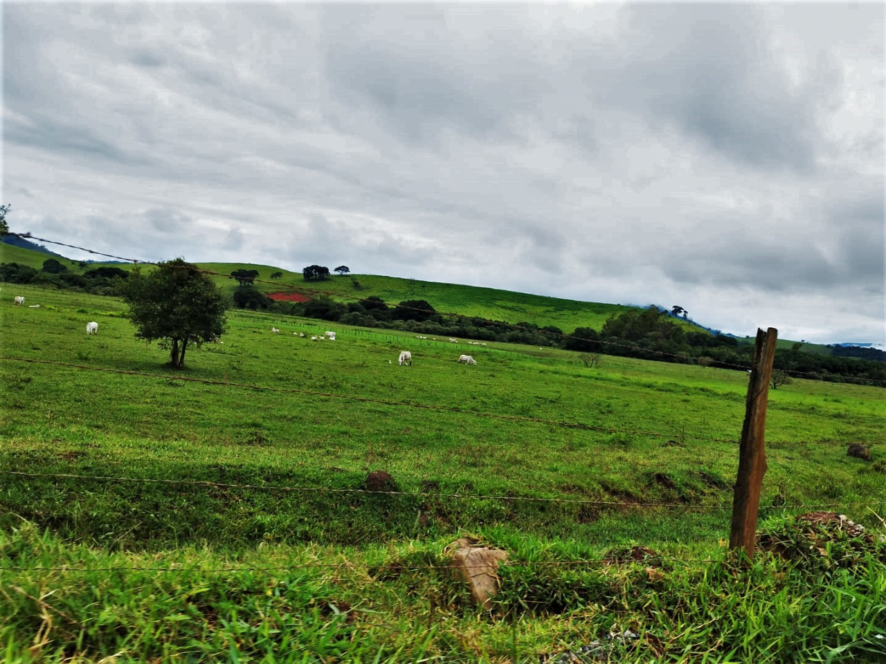 Chácara à venda com 3 quartos, 2300000m² - Foto 17