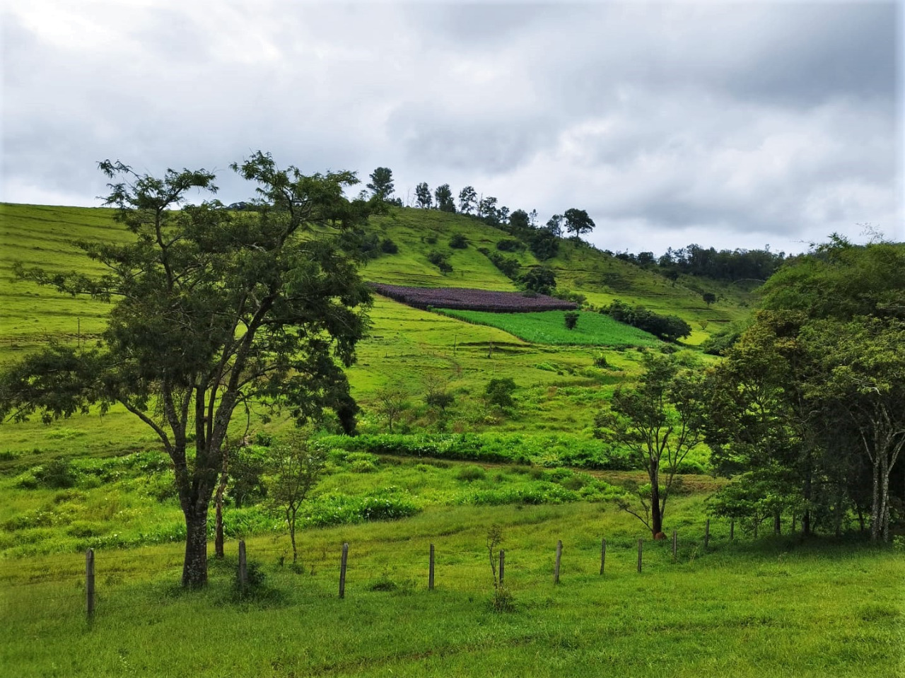 Chácara à venda com 3 quartos, 2300000m² - Foto 20