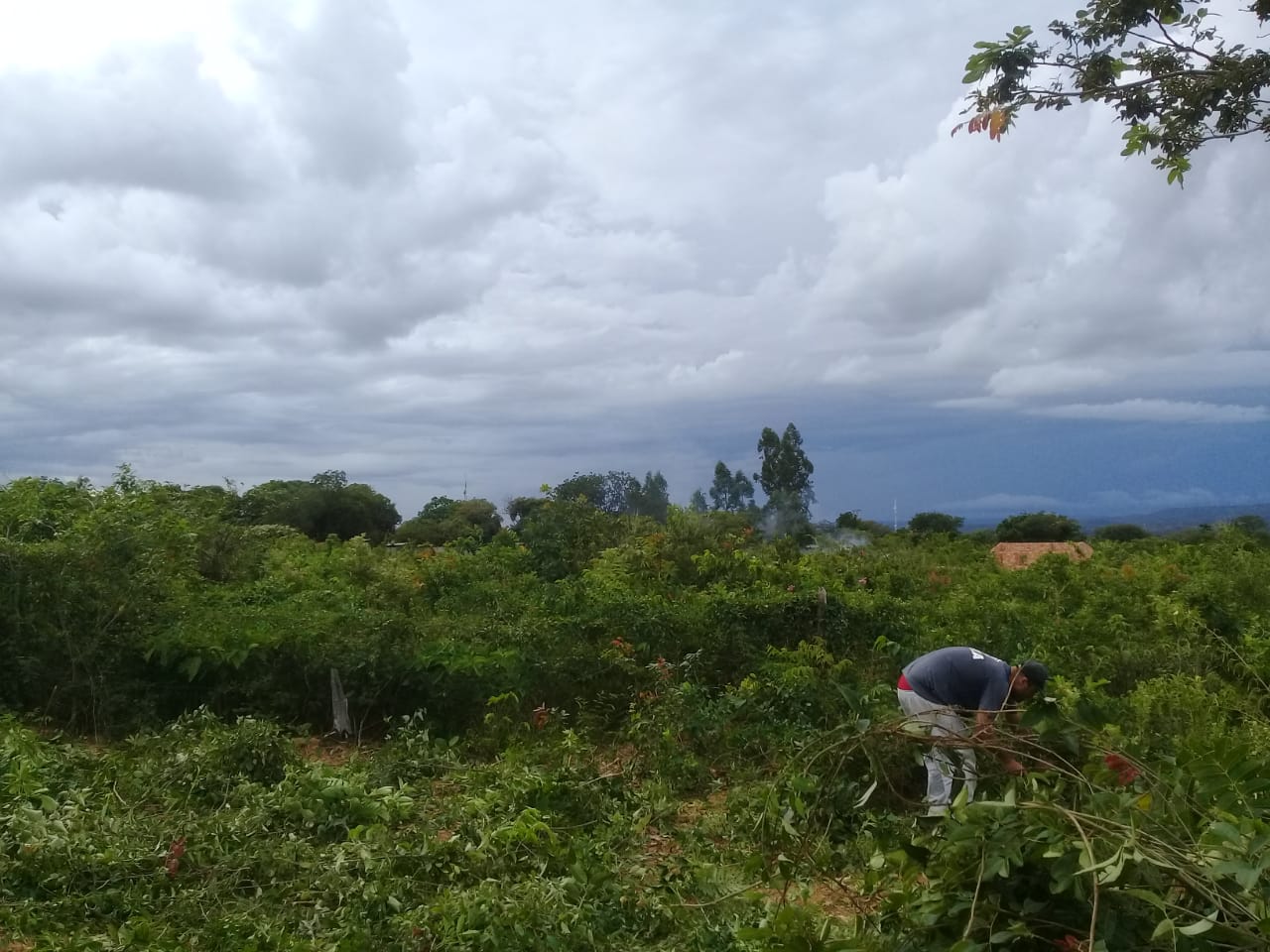 Terreno à venda, 3500m² - Foto 5