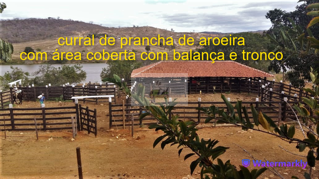 Chácara à venda com 4 quartos, 1440000m² - Foto 2