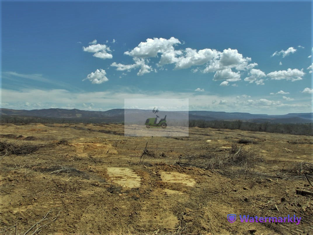 Chácara à venda com 4 quartos, 1440000m² - Foto 17