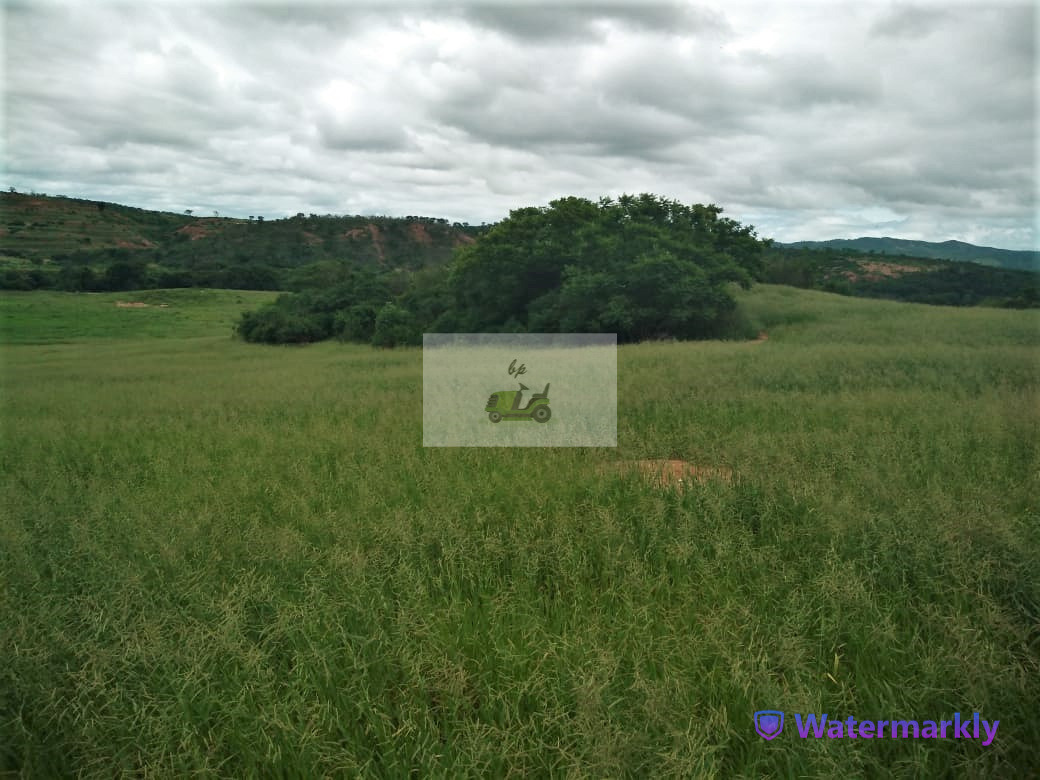 Chácara à venda com 4 quartos, 1440000m² - Foto 10