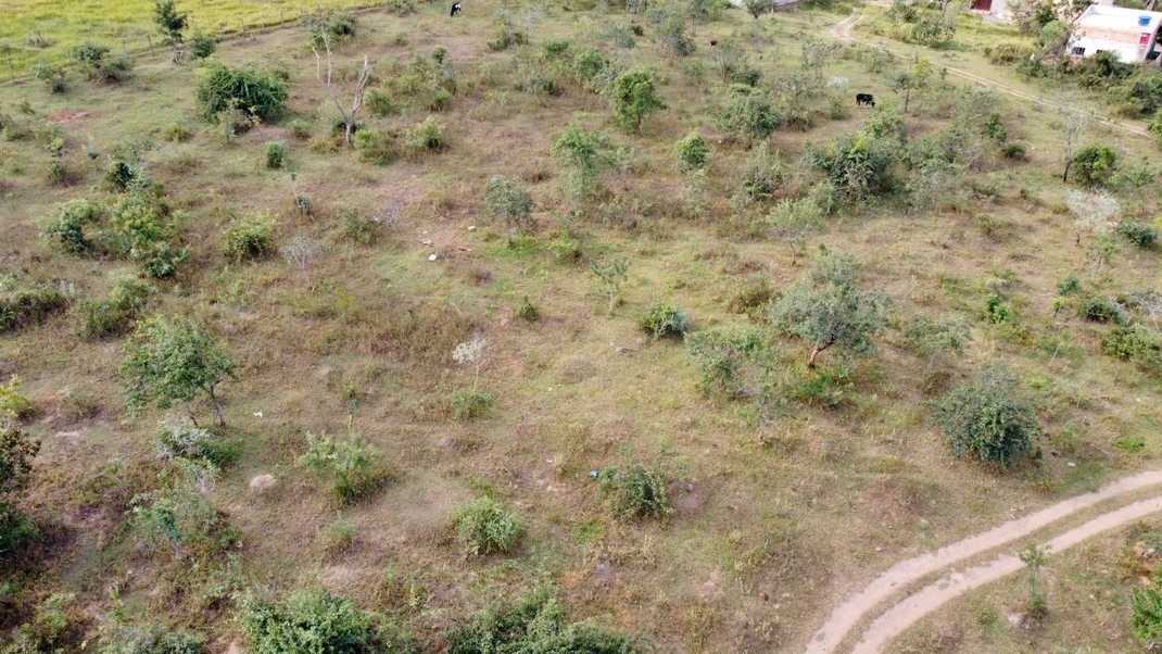 Terreno à venda, 20000m² - Foto 8