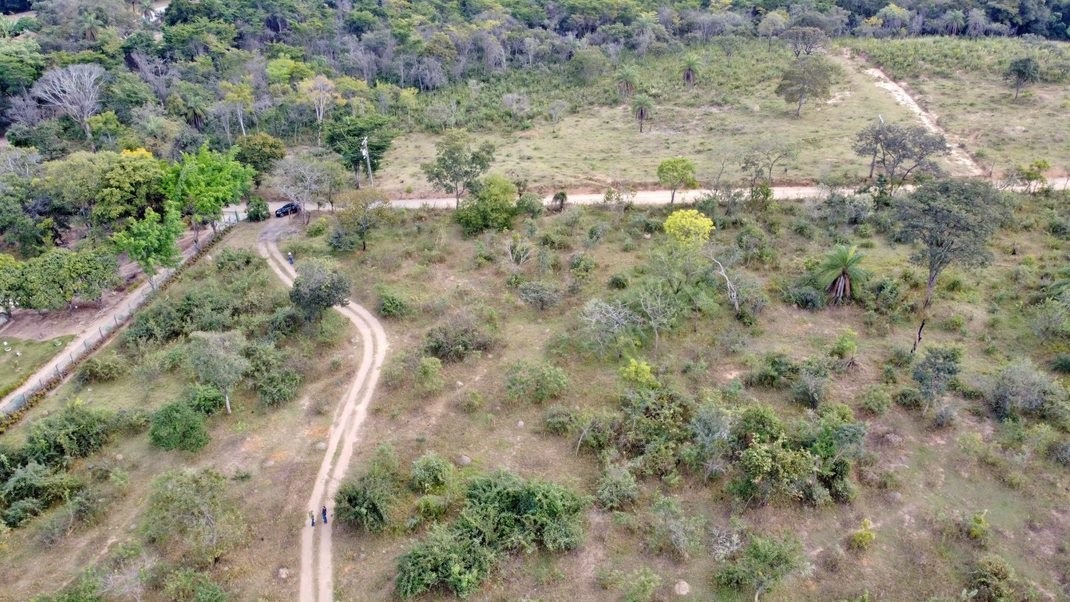 Terreno à venda, 20000m² - Foto 1