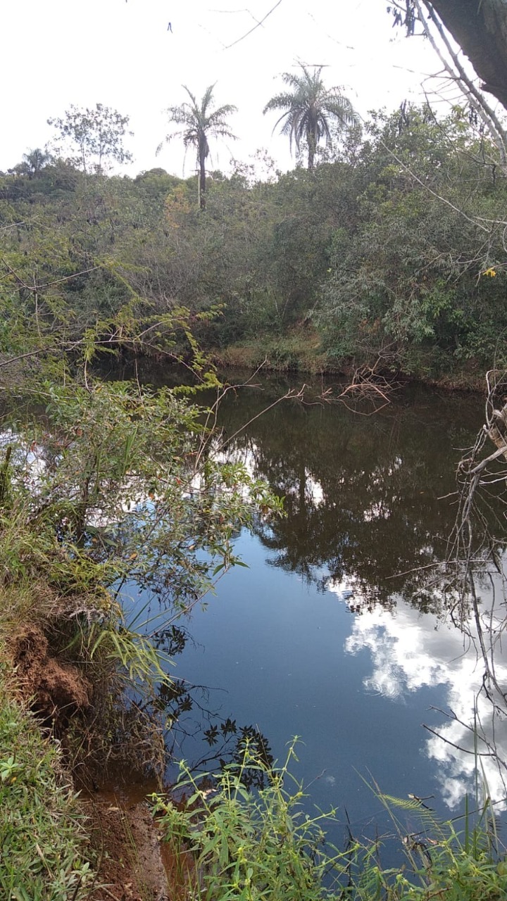 Chácara à venda com 1 quarto, 3000m² - Foto 4