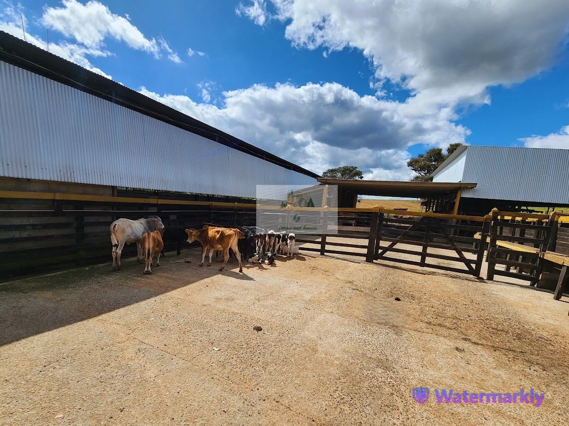 Chácara à venda com 6 quartos, 1280000m² - Foto 8