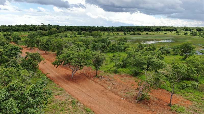 Chácara à venda com 1 quarto, 20000m² - Foto 3