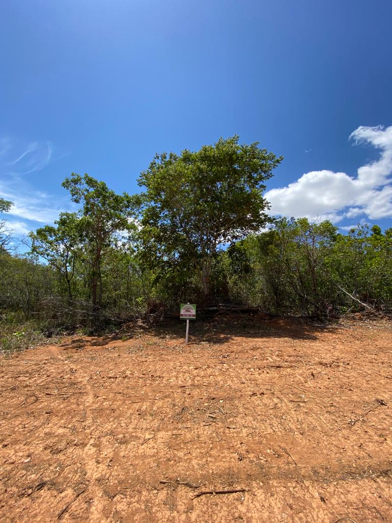 Chácara à venda com 1 quarto, 20000m² - Foto 2