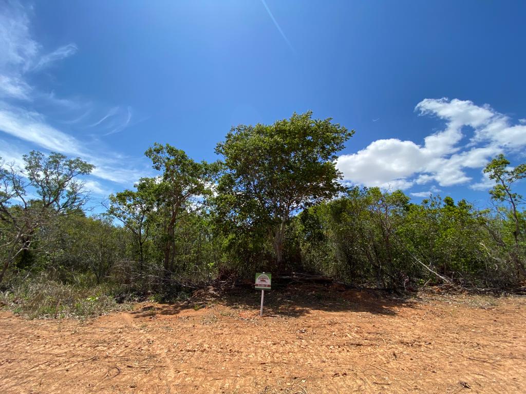 Chácara à venda com 1 quarto, 20000m² - Foto 1