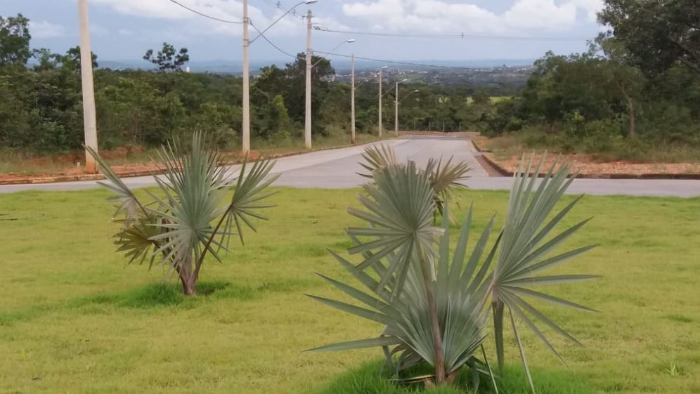 Terreno à venda, 1000m² - Foto 4