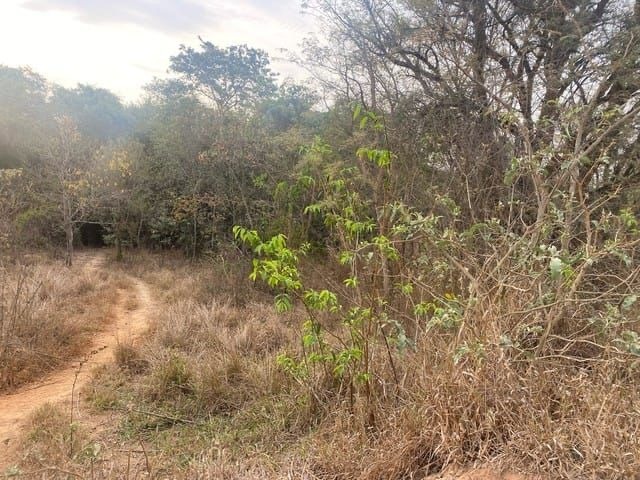 Terreno à venda, 638m² - Foto 4