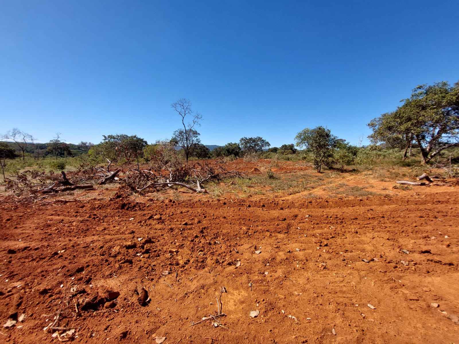 Chácara à venda com 1 quarto, 20000m² - Foto 8