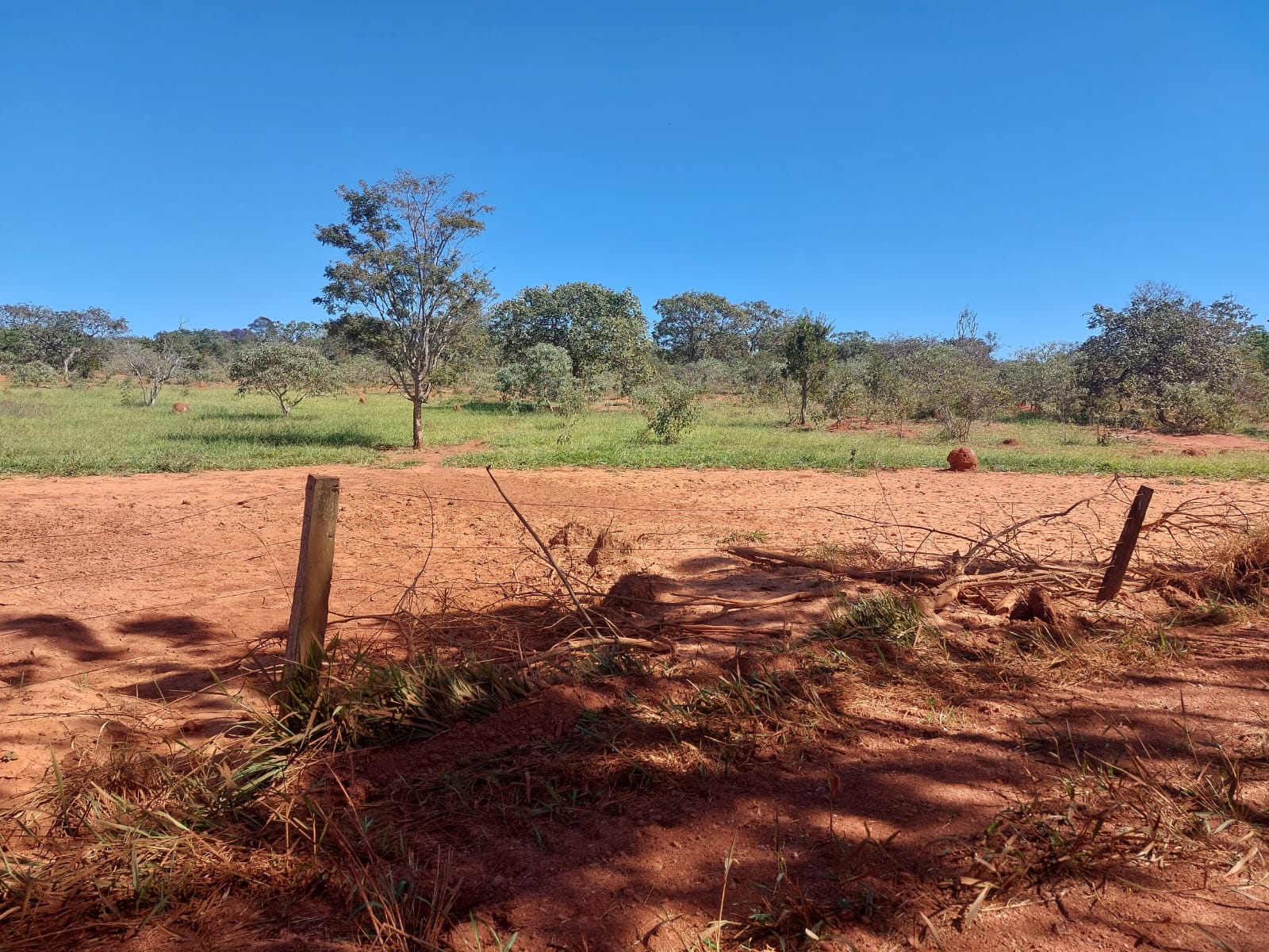 Chácara à venda com 1 quarto, 20000m² - Foto 10