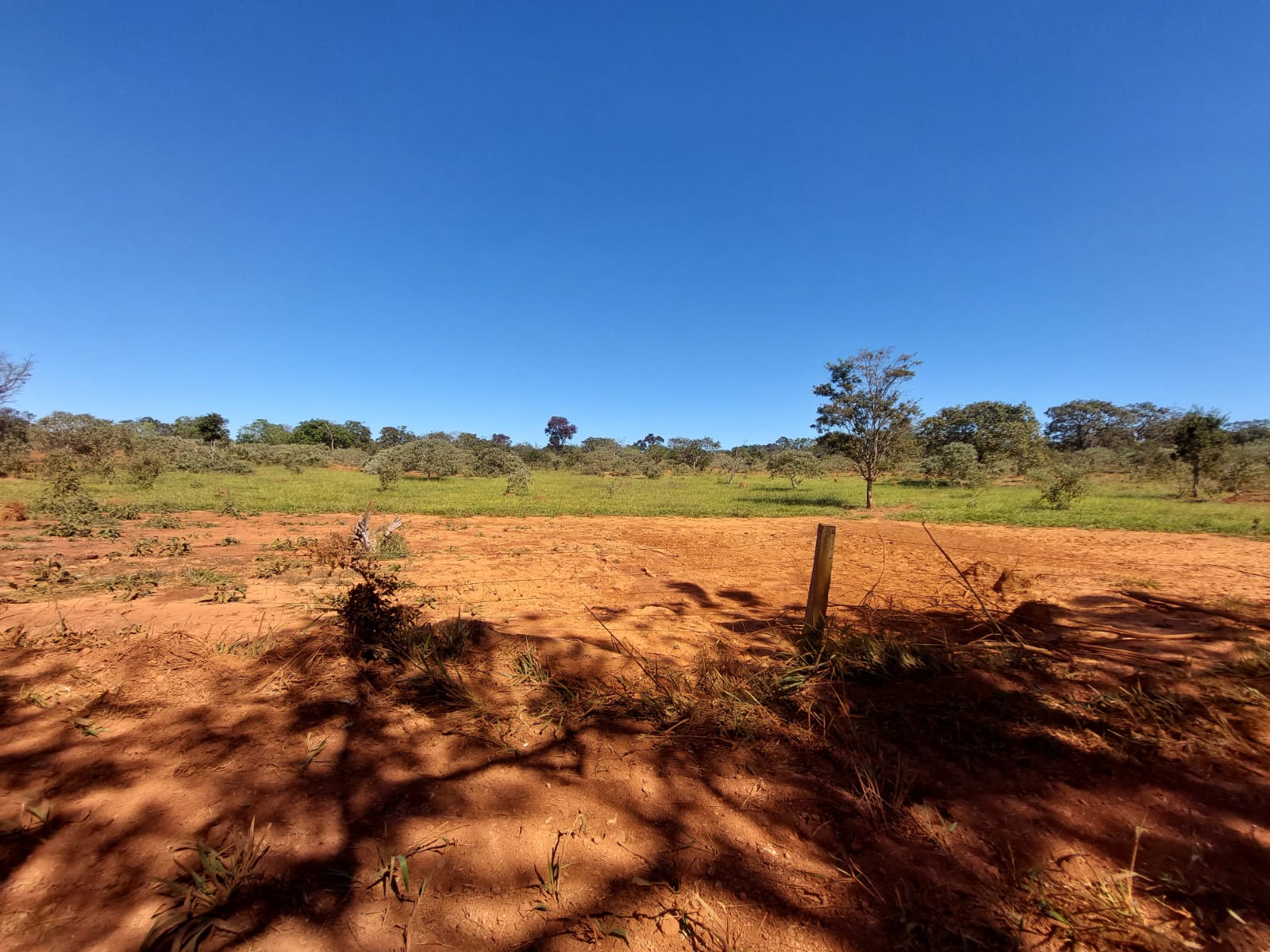 Chácara à venda com 1 quarto, 20000m² - Foto 7