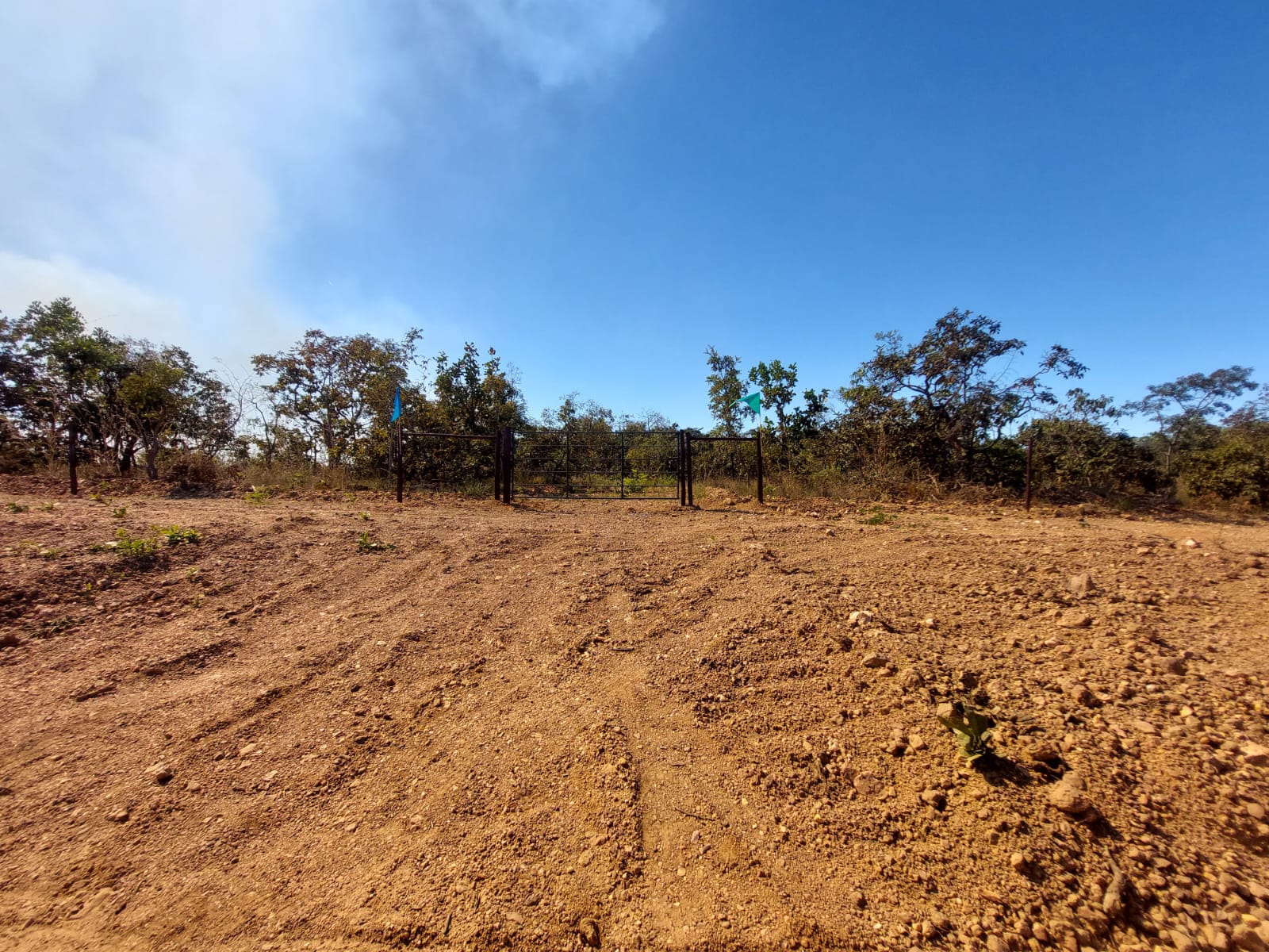 Chácara à venda com 1 quarto, 20000m² - Foto 9