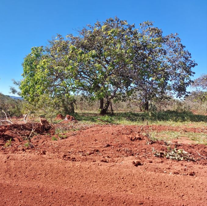 Chácara à venda com 1 quarto, 20000m² - Foto 2