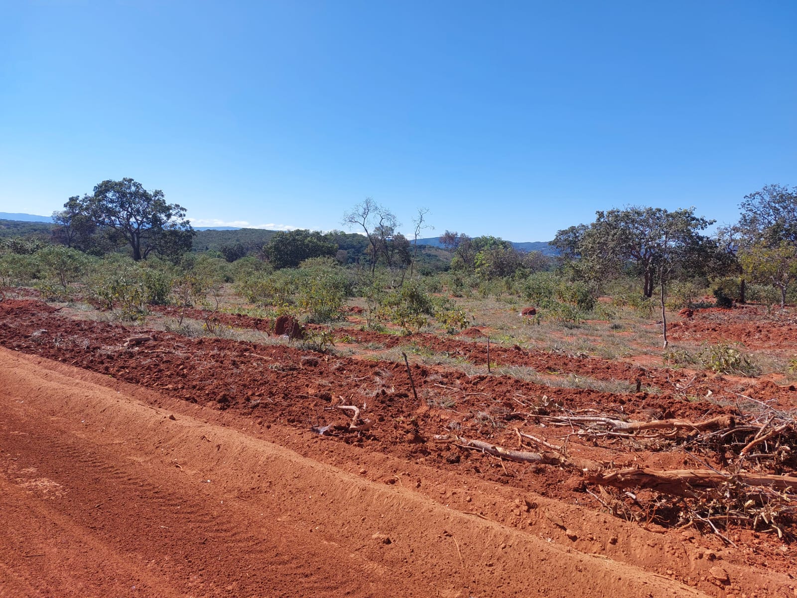 Chácara à venda com 1 quarto, 20000m² - Foto 6