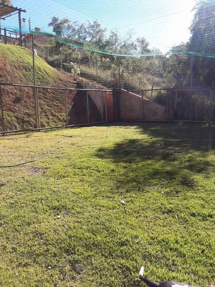 Chácara à venda com 3 quartos, 1000m² - Foto 7