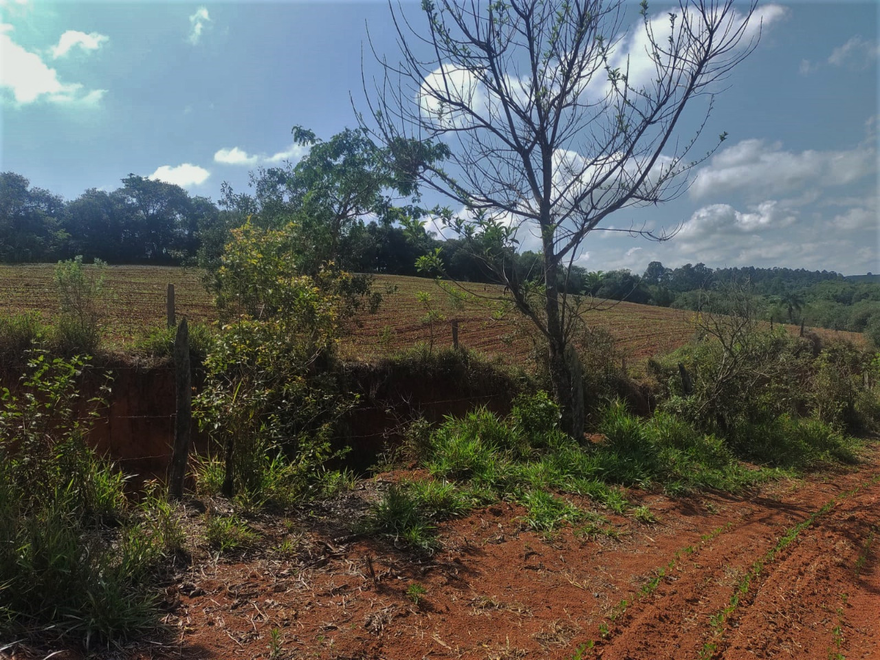 Chácara à venda com 4 quartos, 1210000m² - Foto 19