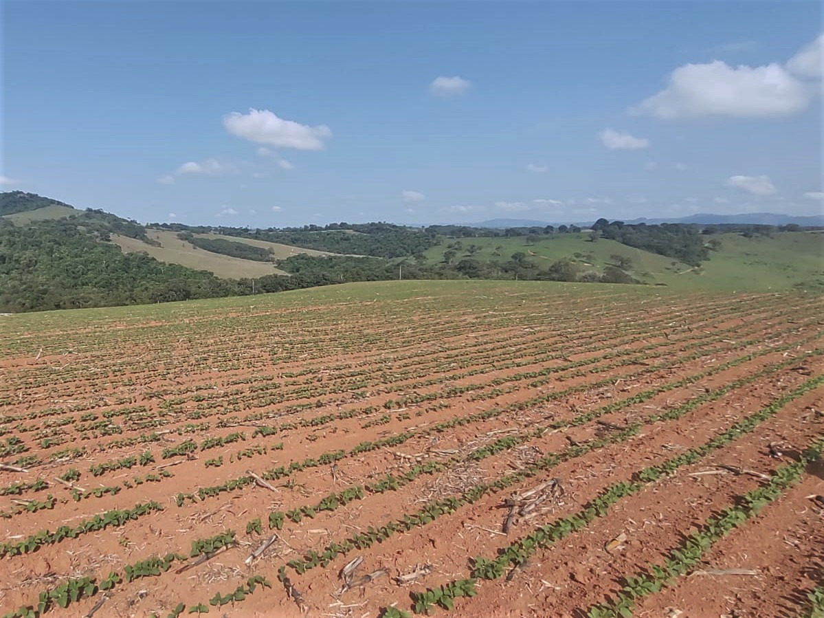 Chácara à venda com 4 quartos, 1210000m² - Foto 3