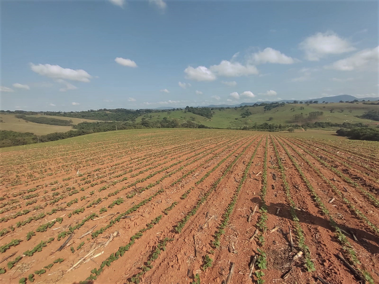 Chácara à venda com 4 quartos, 1210000m² - Foto 1