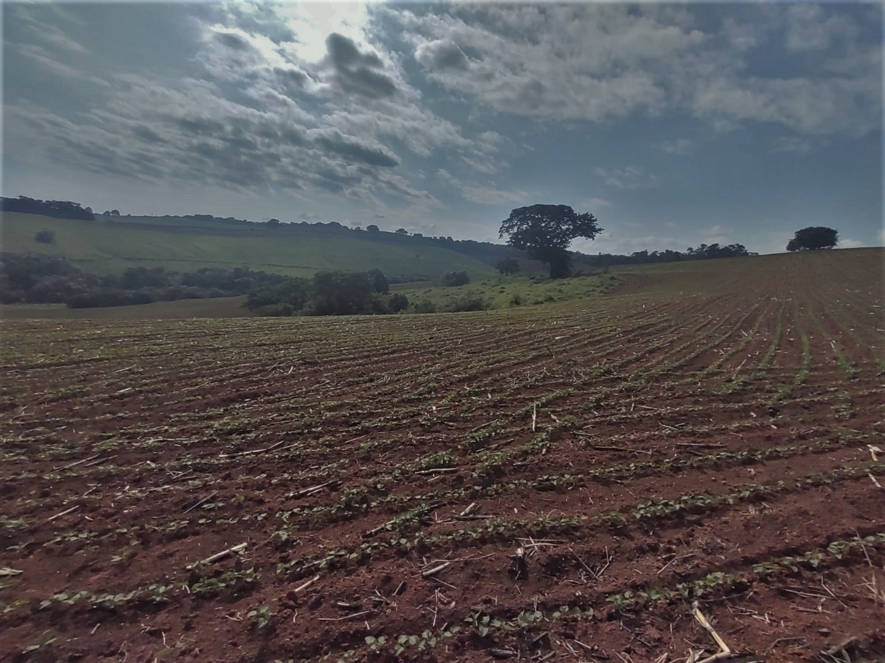 Chácara à venda com 4 quartos, 1210000m² - Foto 8