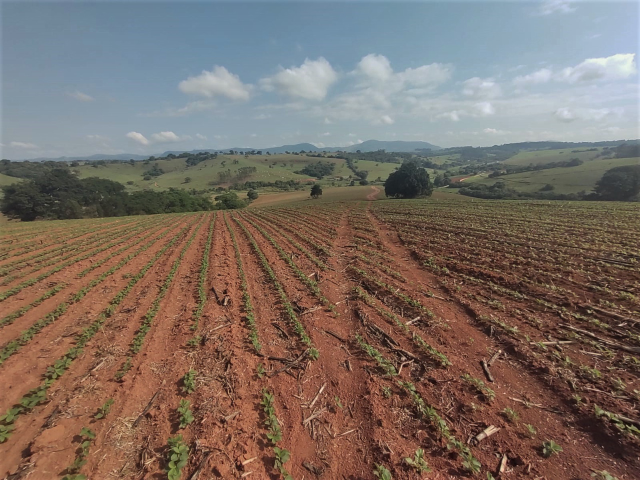 Chácara à venda com 4 quartos, 1210000m² - Foto 6