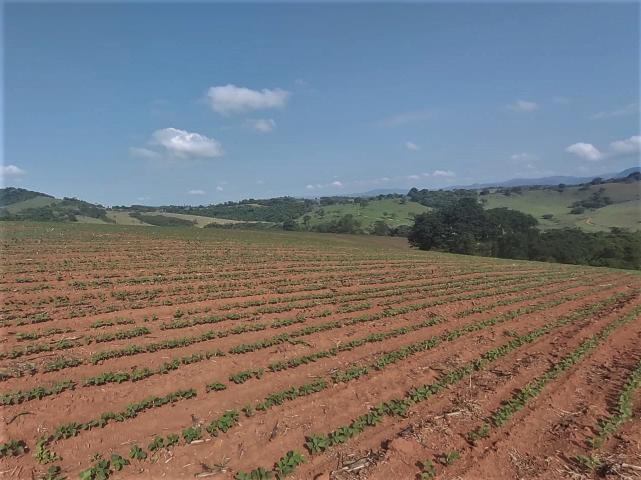 Chácara à venda com 4 quartos, 1210000m² - Foto 10