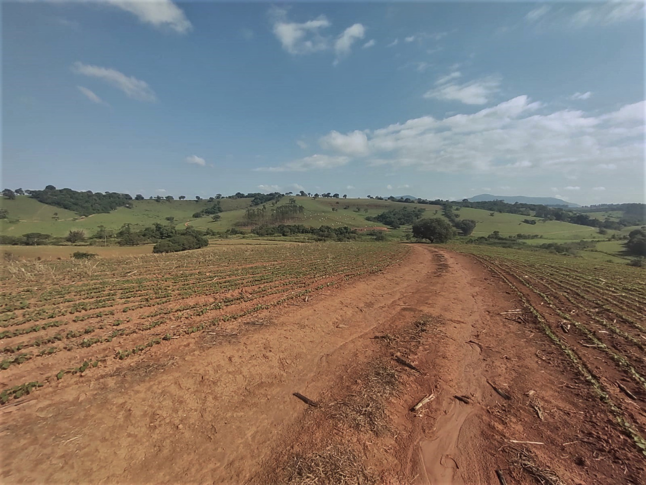 Chácara à venda com 4 quartos, 1210000m² - Foto 9