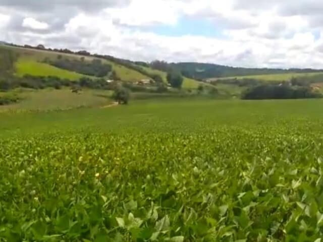 Chácara à venda com 4 quartos, 1210000m² - Foto 5