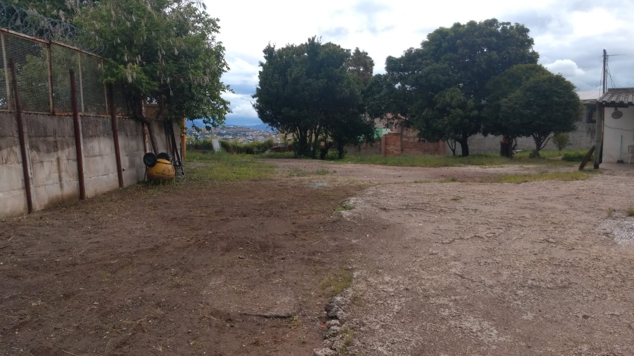 Terreno à venda, 3000m² - Foto 5