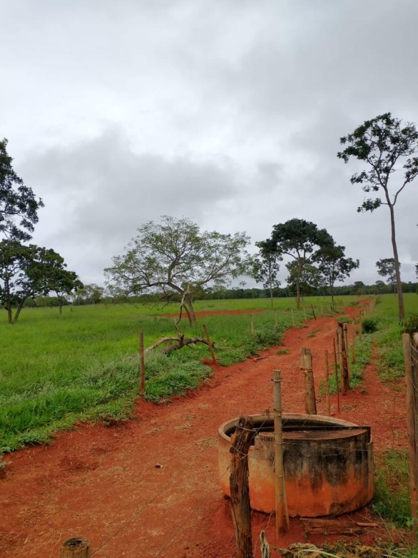 Chácara à venda com 1 quarto, 60m² - Foto 8