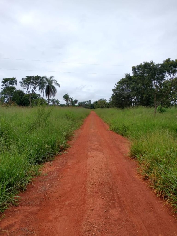 Chácara à venda com 1 quarto, 60m² - Foto 2