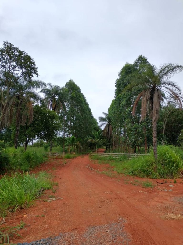 Chácara à venda com 1 quarto, 60m² - Foto 18