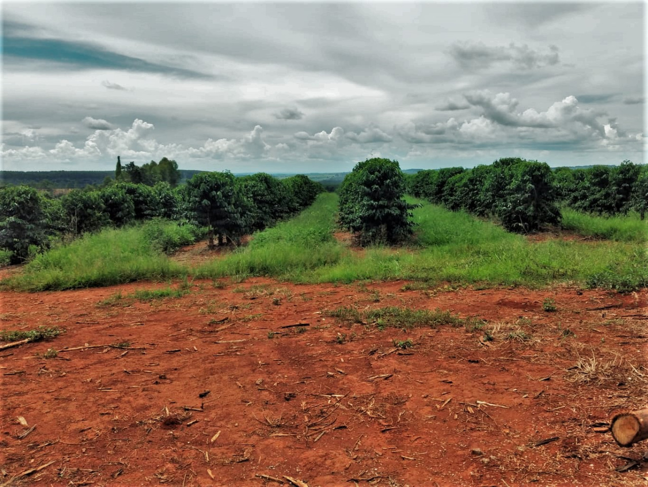 Chácara à venda com 2 quartos, 1710000m² - Foto 3