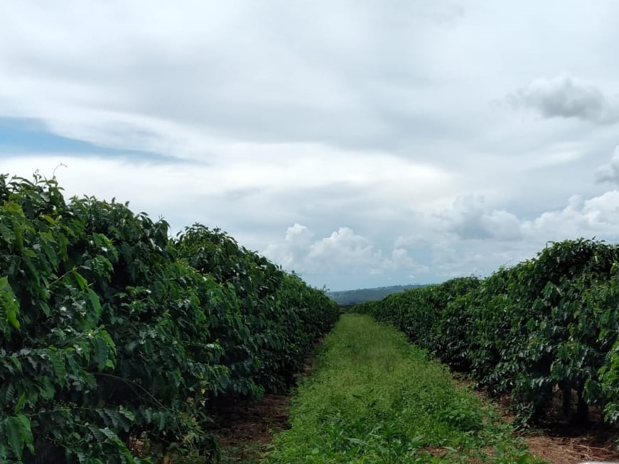 Chácara à venda com 2 quartos, 1710000m² - Foto 10