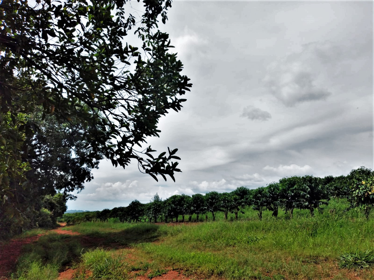 Chácara à venda com 2 quartos, 1710000m² - Foto 19