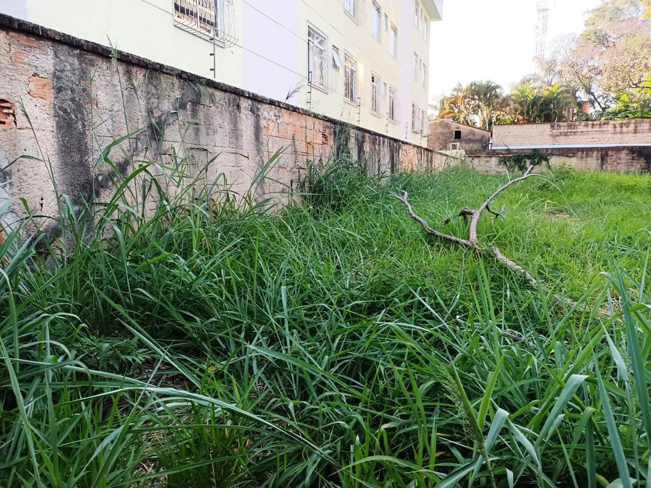 Terreno à venda, 450m² - Foto 4