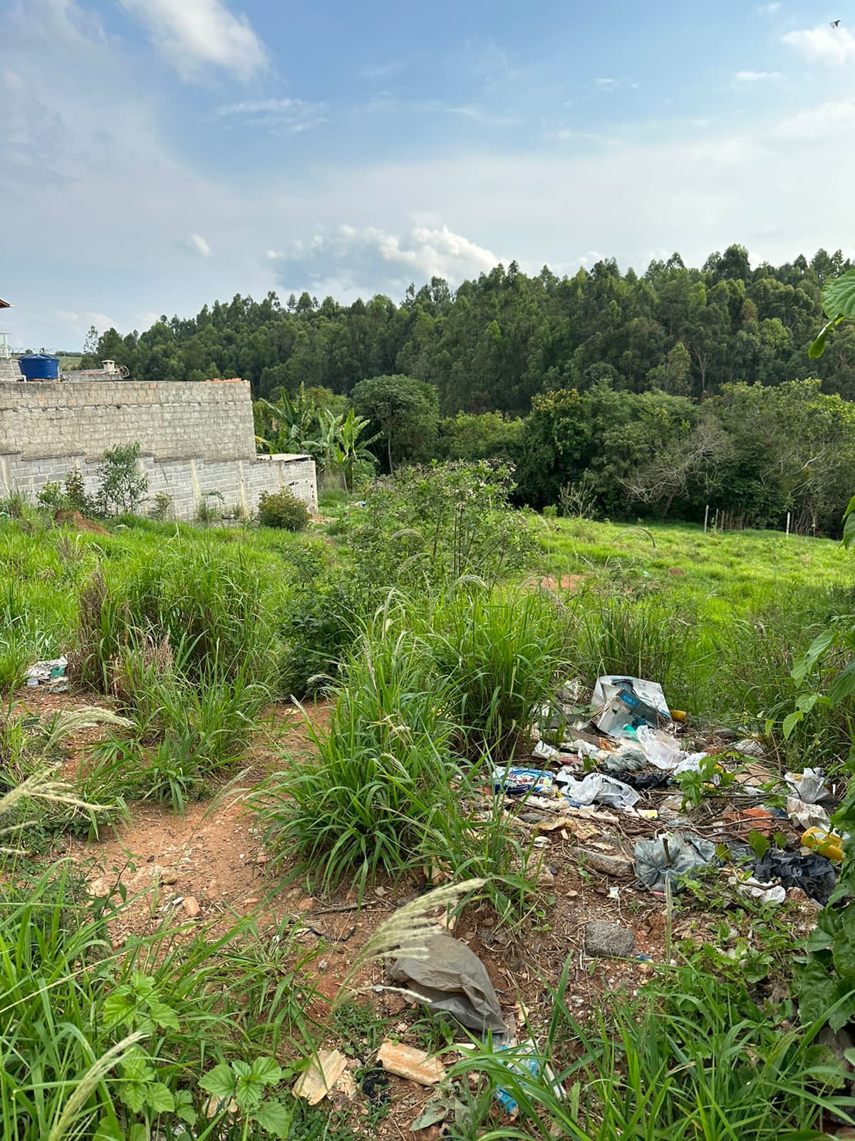 Terreno à venda, 250m² - Foto 1