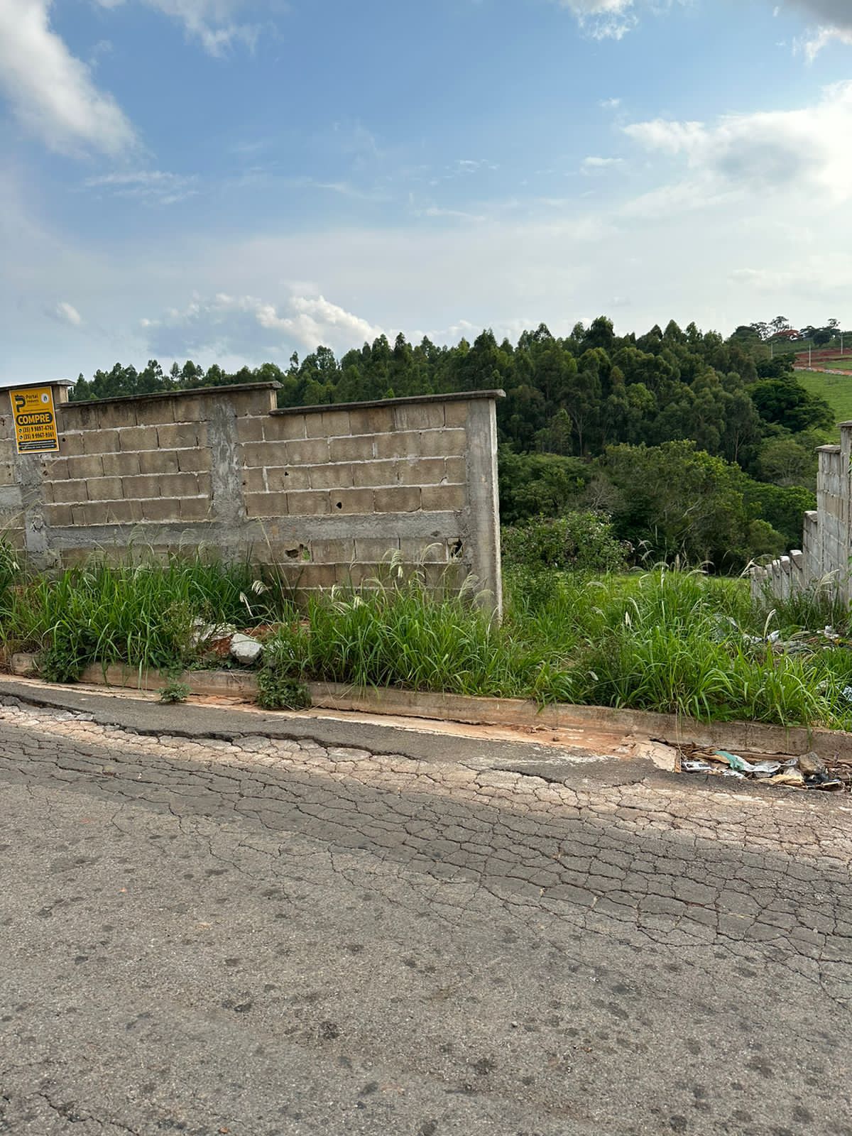 Terreno à venda, 250m² - Foto 2