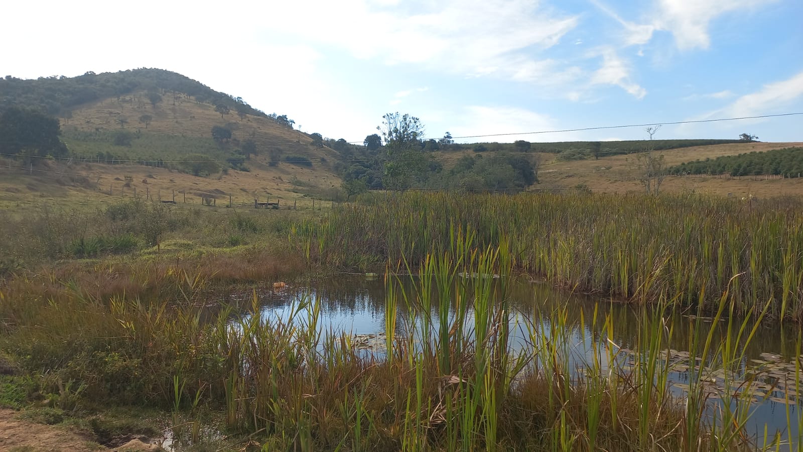 Chácara à venda com 1 quarto, 38500m² - Foto 1