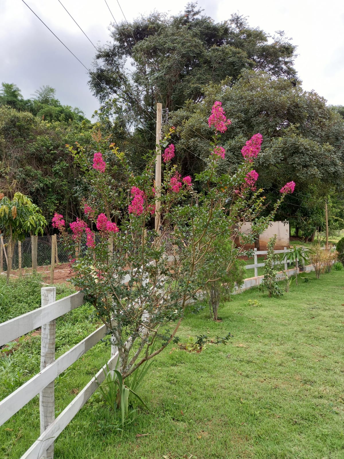 Chácara à venda com 1 quarto - Foto 4