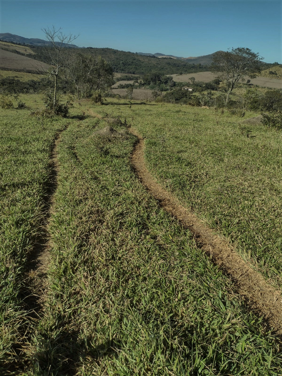 Chácara, 1 quarto, 100 hectares - Foto 4