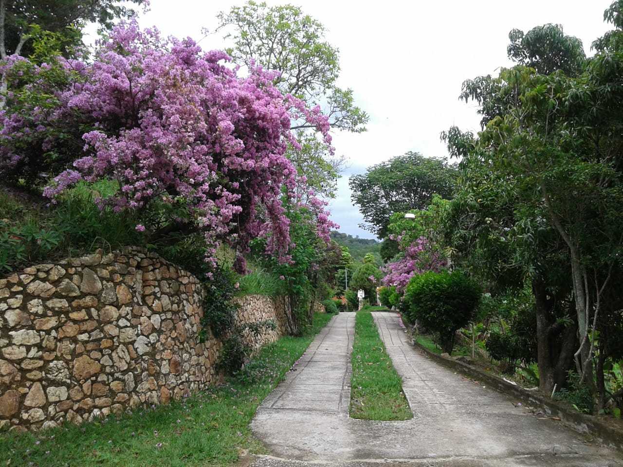 Chácara à venda com 8 quartos, 20000m² - Foto 5