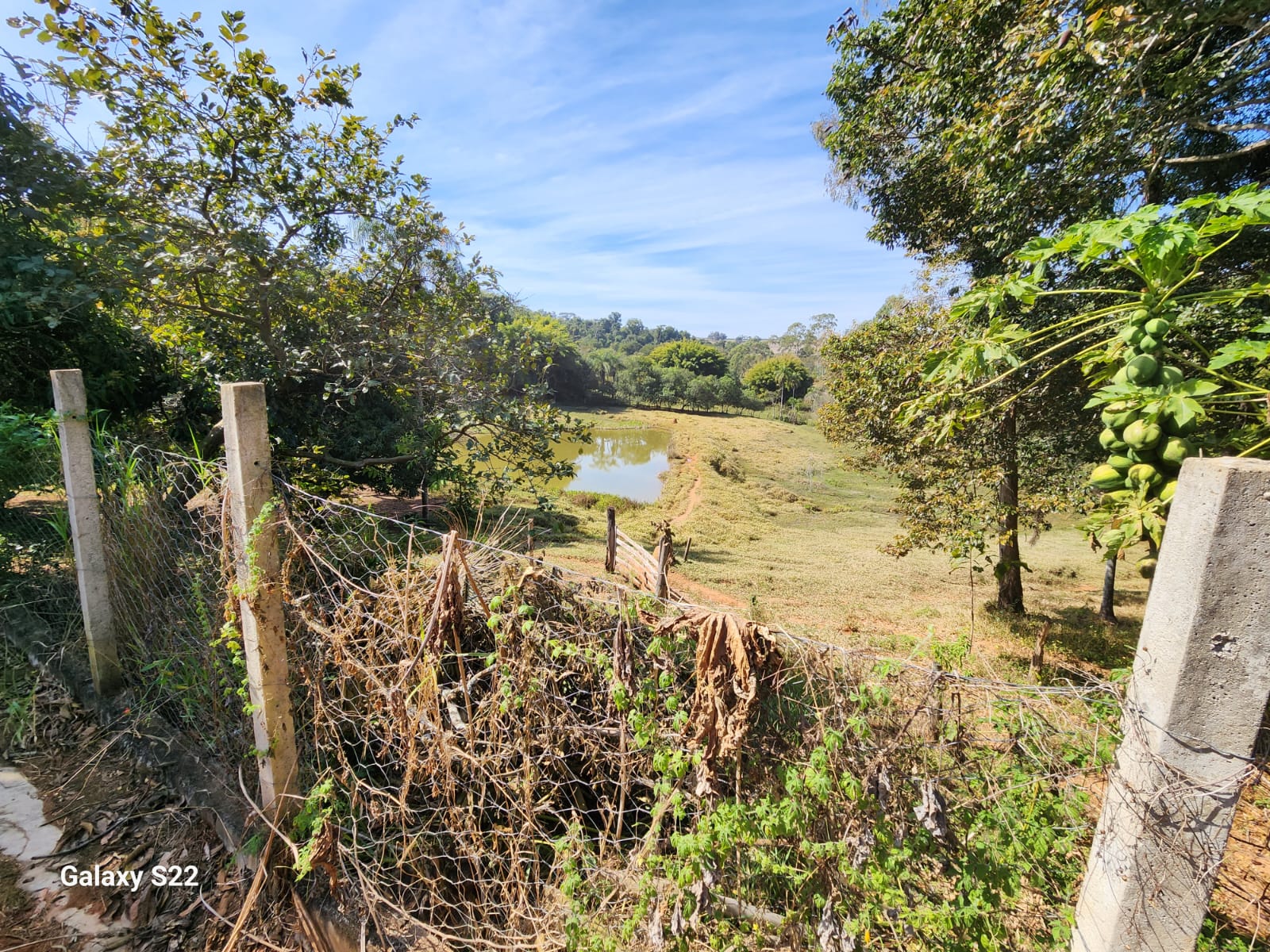 Chácara à venda com 5 quartos, 465000m² - Foto 15