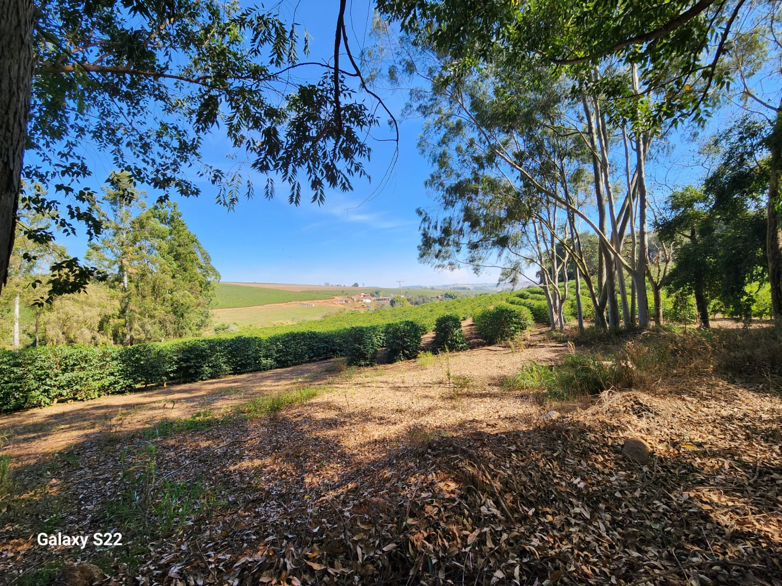 Chácara à venda com 5 quartos, 465000m² - Foto 5